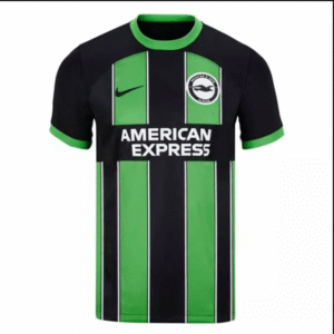 Brighton Albion Third Shirt