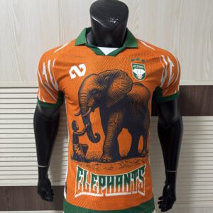 Ivory Coast National Football Team 2026 Home Jersey “Elephants” – Men’s Puma Orange Official Kit
