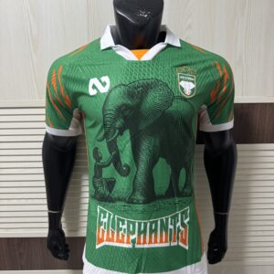 Ivory Coast National Football Team 2025/26 Special Edition Soccer Jersey – Men’s High-Performance Football Shirt