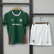 Palmeiras Soccer Jerseys Football Kits Custom ..kid Kits 2026/27